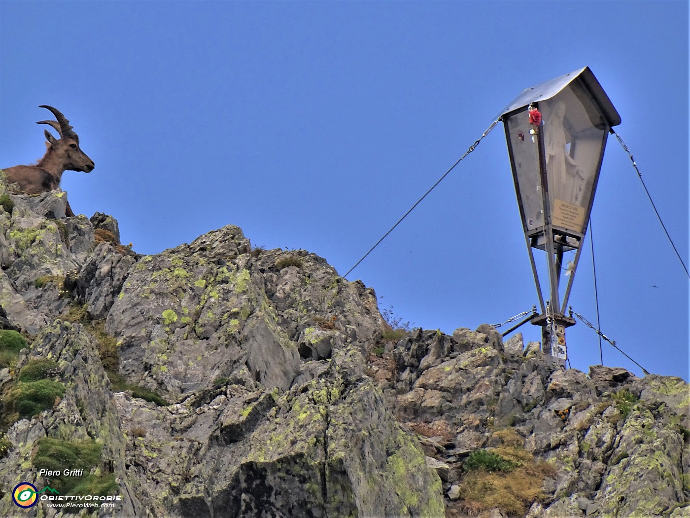 06 Madonnina di Cima Aga (2720 m) vegliata da stambecco.JPG